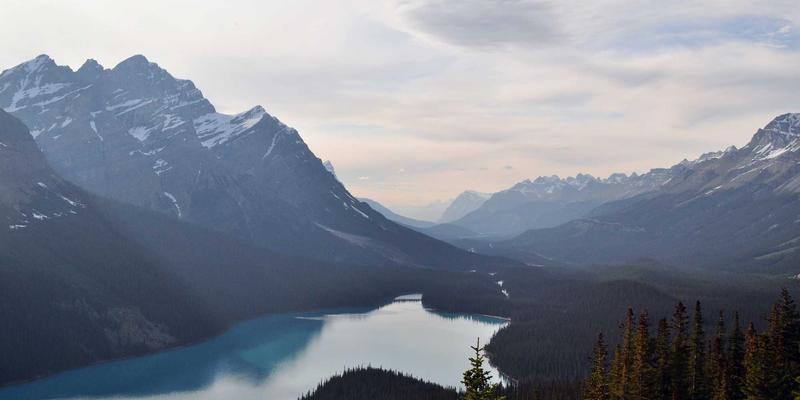 AI创作助手与XYXY1融合：如何在互动社区中重塑个性化剧本与音乐创作