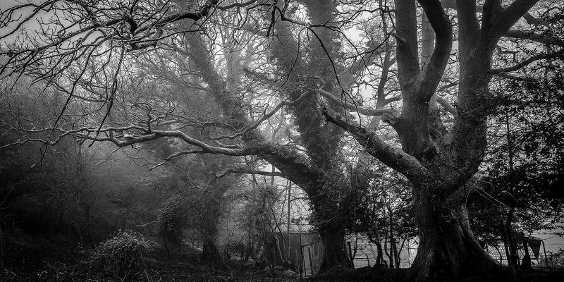 XYXY12：娱乐新闻与互动社区如何重塑游戏体验