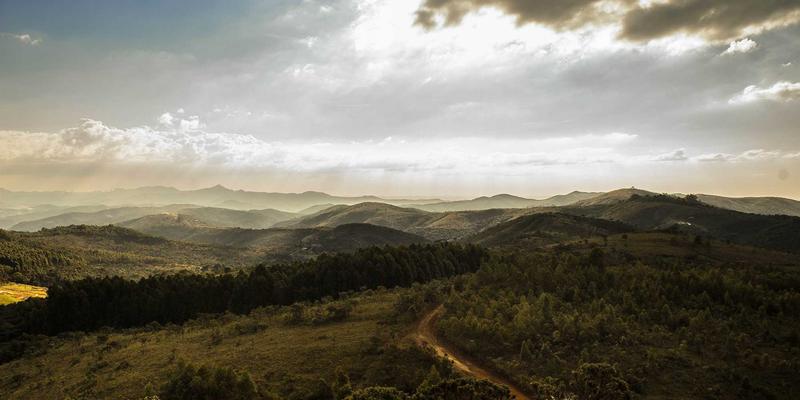 XYXY133：探索互动社区与XYXY1游戏的全新体验