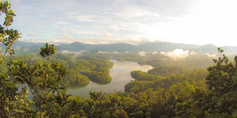 XYXY134:在线游戏社区如何重塑玩家互动新生态