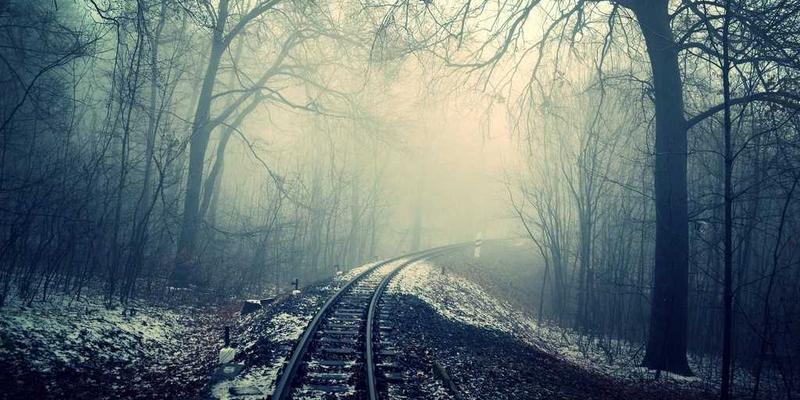 XYXY1入门指南：探索互动社区、娱乐与社交的融合新世界