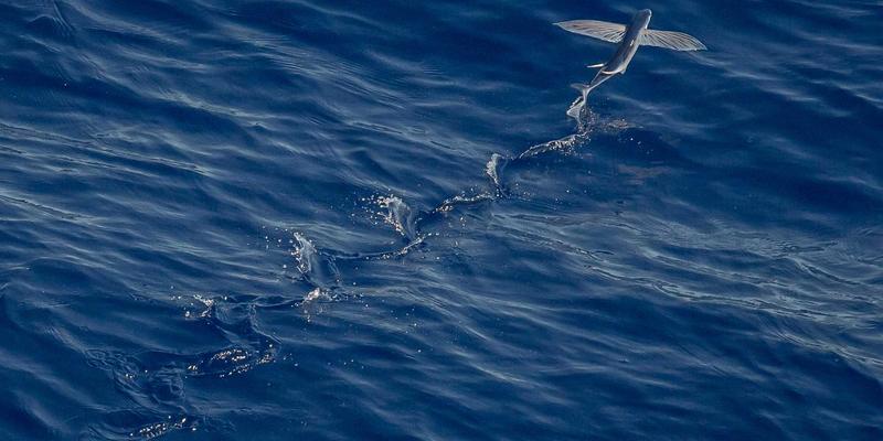 XYXY1如何重塑直播电商：互动社区与娱乐新闻驱动的实时转化策略