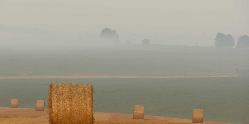 XYXY1赋能：构建以互动社区为核心的跨平台娱乐内容智能分发新范式