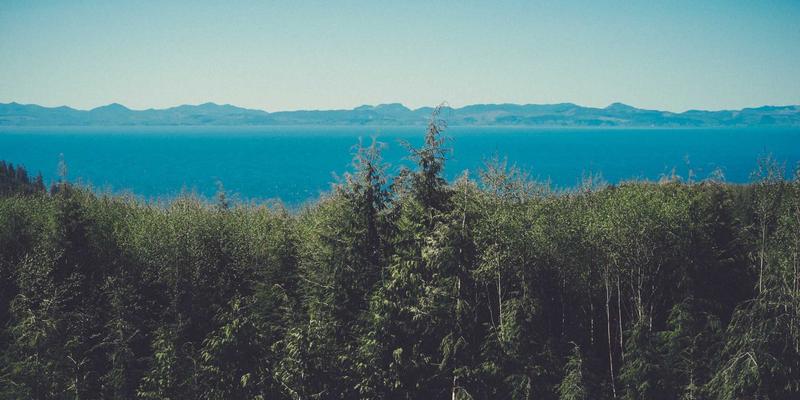 从社交到协同：在线社区如何驱动XYXY1在工业自动化中的价值落地