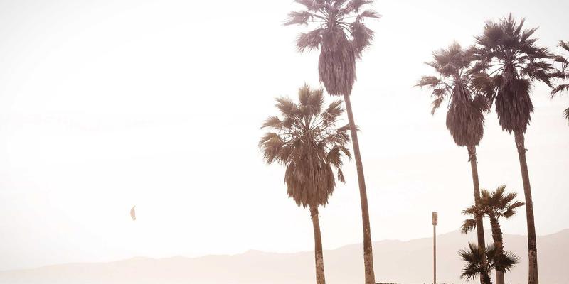 守护真实互动：基于XYXY1的社交互动社区反欺诈系统设计与实践