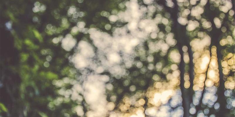 游戏新纪元：解析XYXY1的物理引擎如何打造沉浸式虚拟运动与互动社区