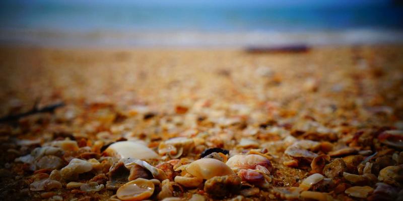 社交新纪元：XYXY1如何用实时渲染与互动社区技术重塑虚拟演唱会游戏体验